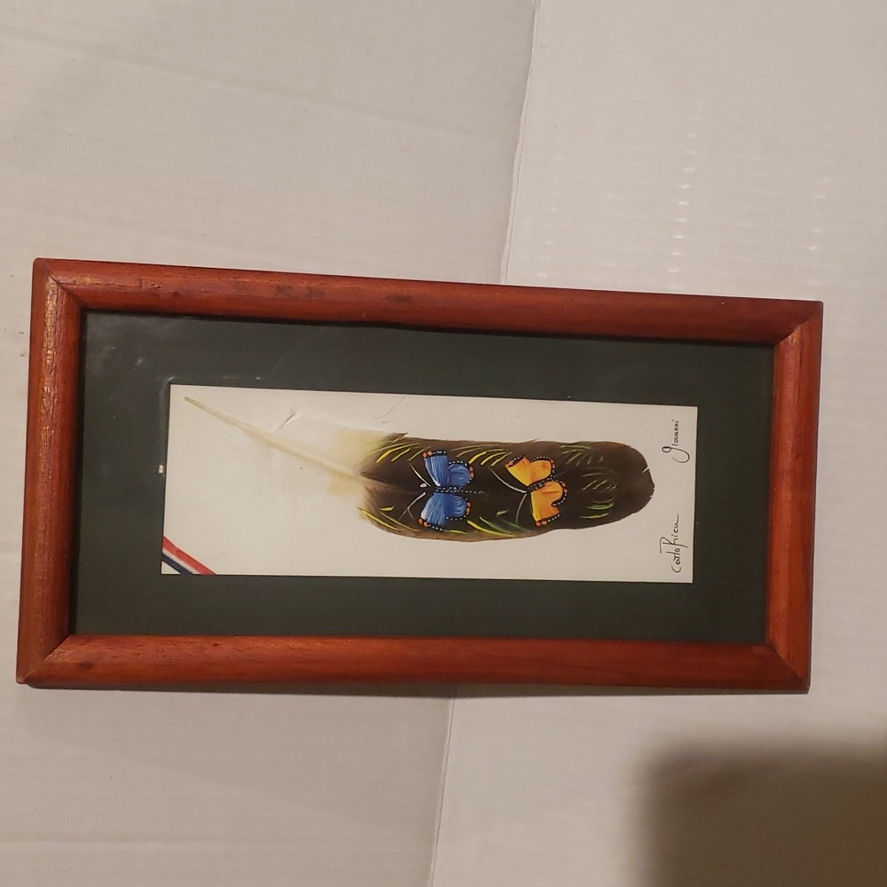 Hand Painted feather home decor frame Costa Rica
